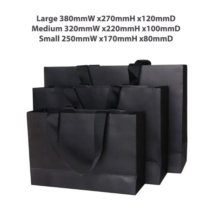 Picture of Large Paper Bag with Flat Handle(380 x 270 x 120mm)