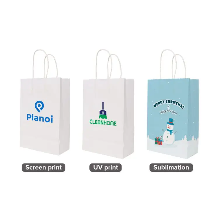 Picture of Twisted Handle Kraft Paper Bag(260x330x120mm)