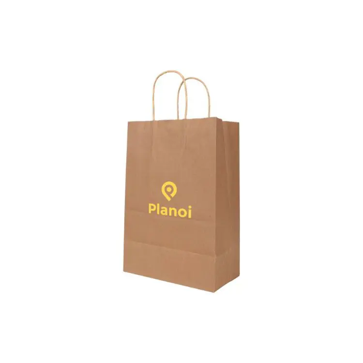 Picture of Twisted Handle Kraft Paper Bag (220x160x80mm)