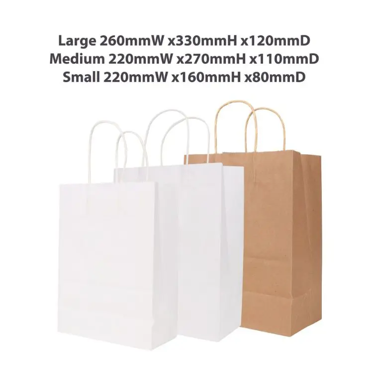 Picture of Twisted Handle Kraft Paper Bag (220x160x80mm)