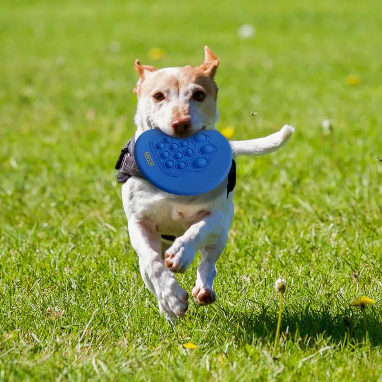 Picture of Pop fidget frisbee
