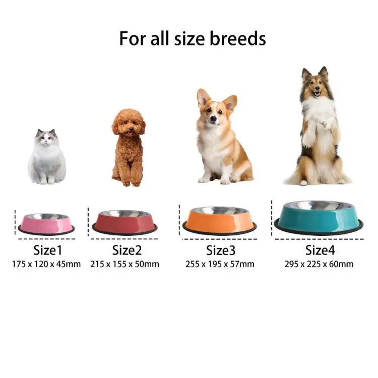 Picture of Pet Feeding Bowl