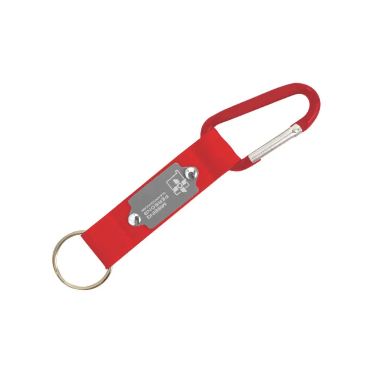 Picture of Carabiner Keyring