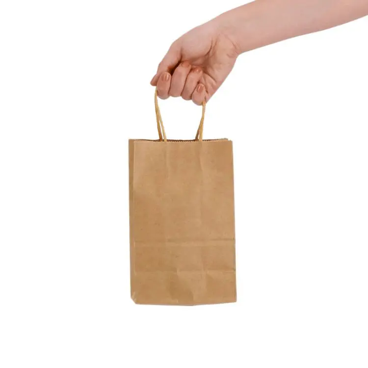 Picture of Express Paper Bag Small