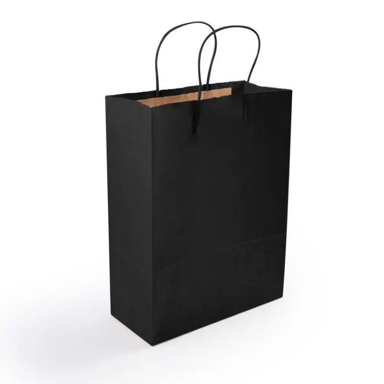 Picture of Express Paper Bag Medium
