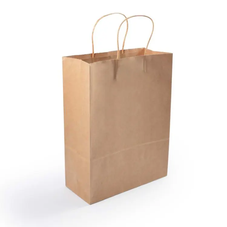 Picture of Express Paper Bag Medium
