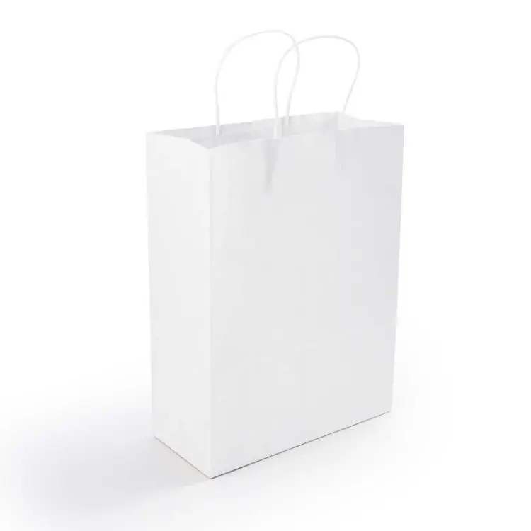 Picture of Express Paper Bag Medium