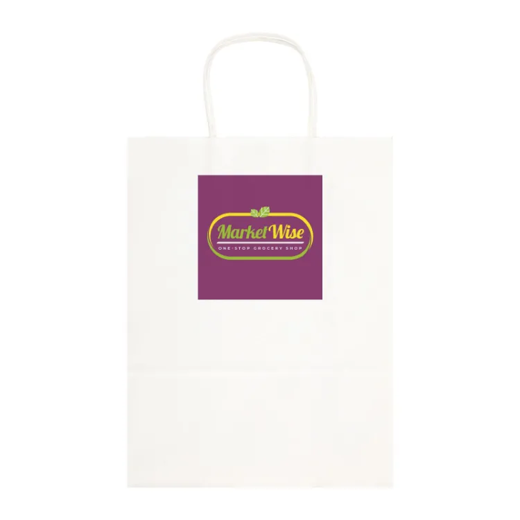Picture of Express Paper Bag Large
