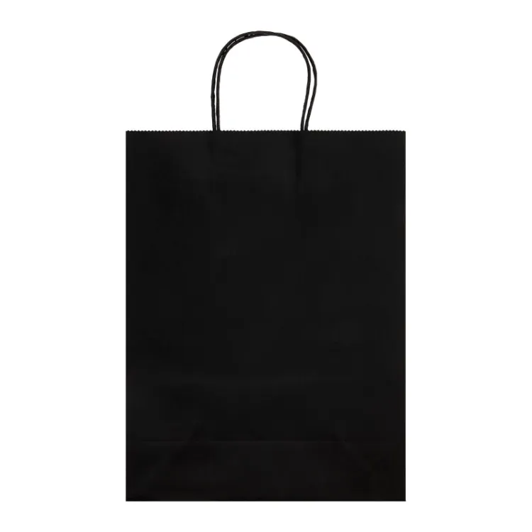 Picture of Express Paper Bag Large
