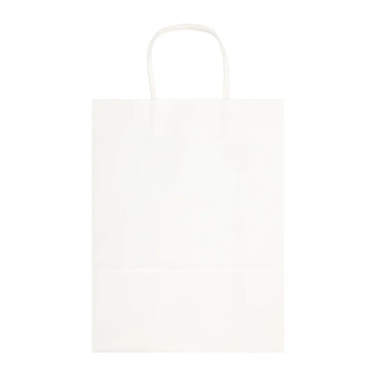 Picture of Express Paper Bag Large