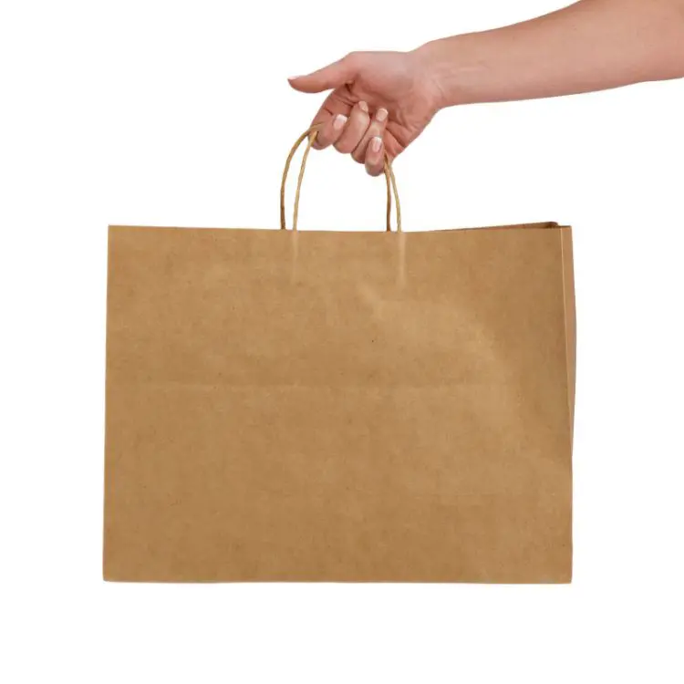 Picture of Express Paper Bag Extra Large
