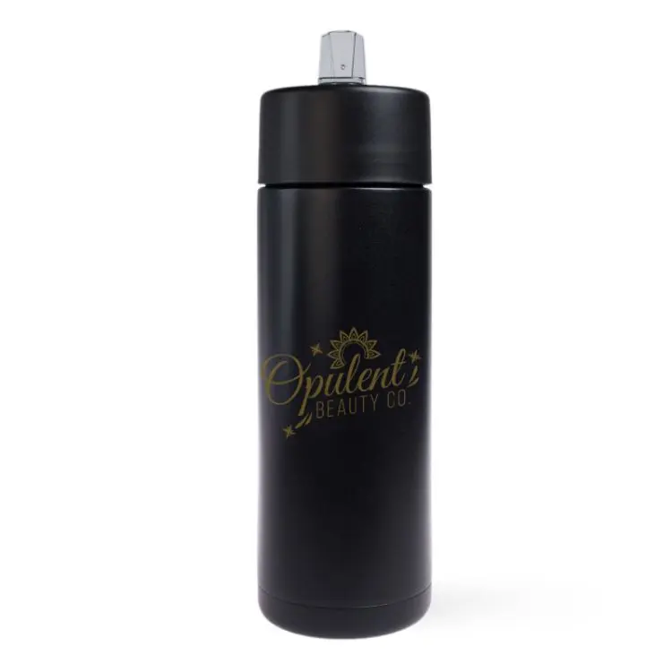 Picture of Zara 600ml Steel Bottle