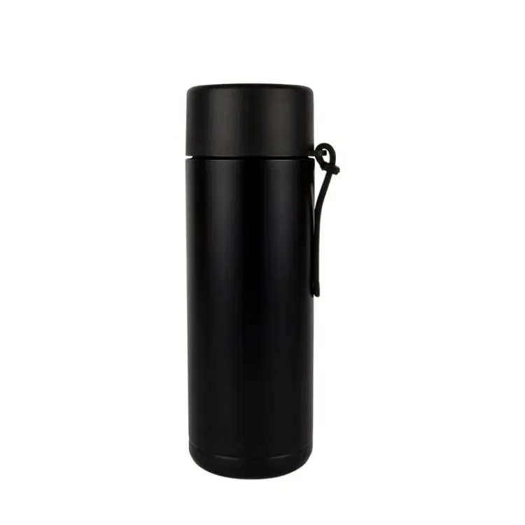 Picture of Zara 600ml Steel Bottle