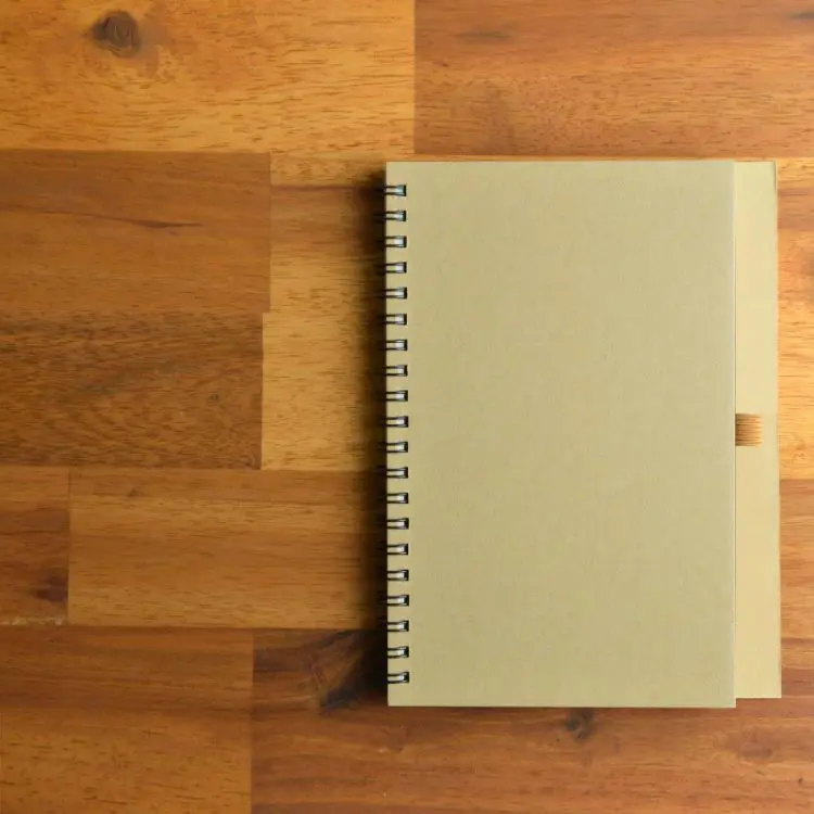 Picture of Savannah Notebook
