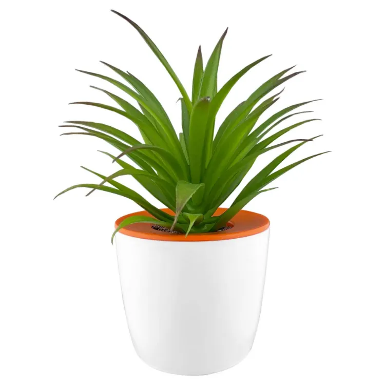 Picture of Mini Desk Plant Pot