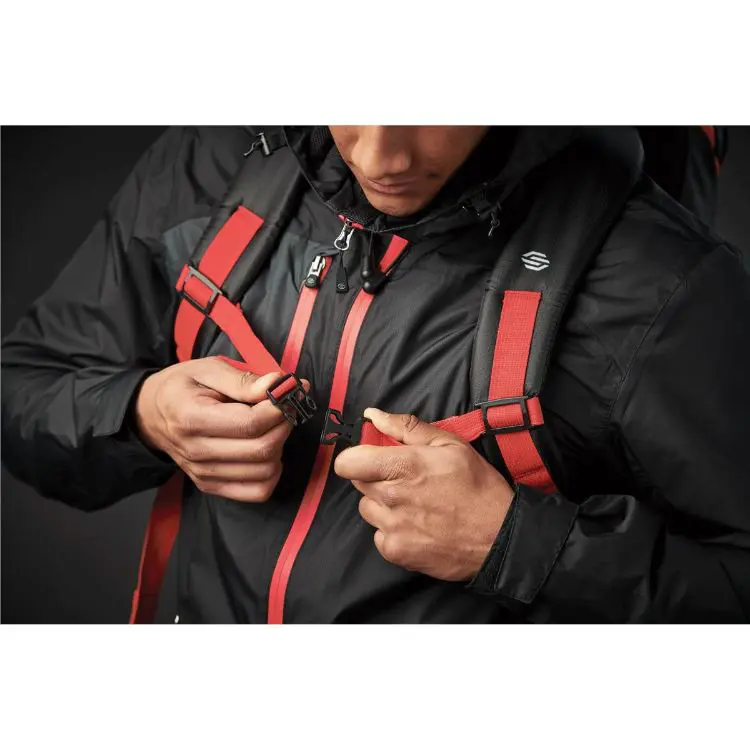 Picture of Whistler Backpack