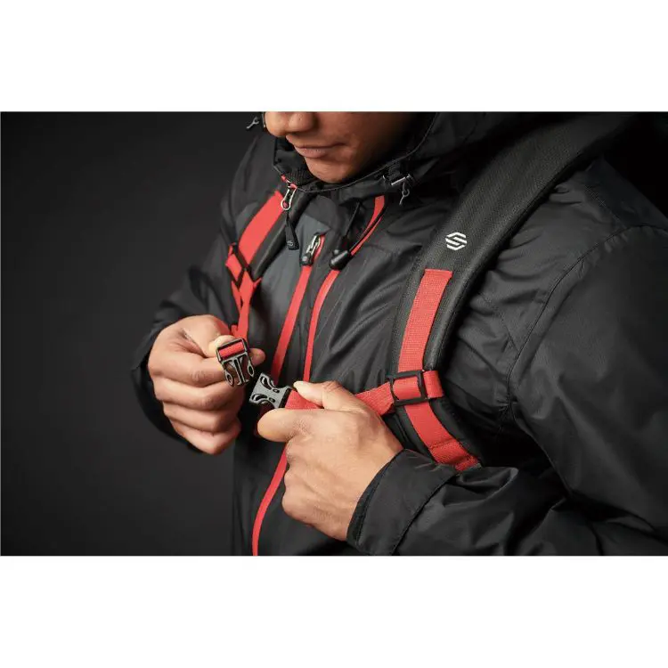 Picture of Whistler Backpack