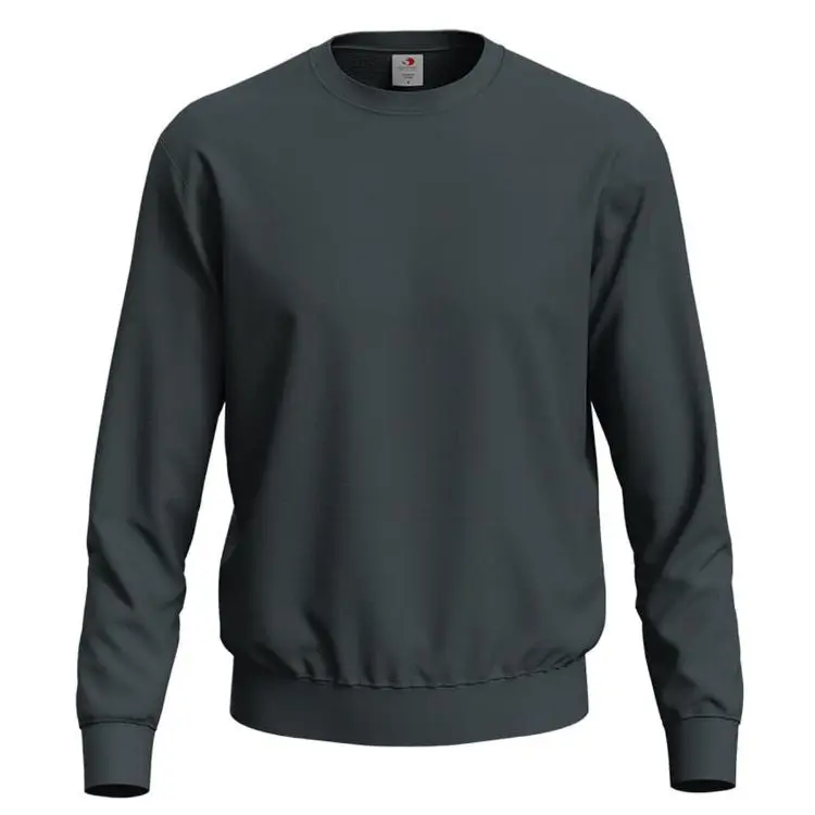 Picture of Men's Sweatshirt