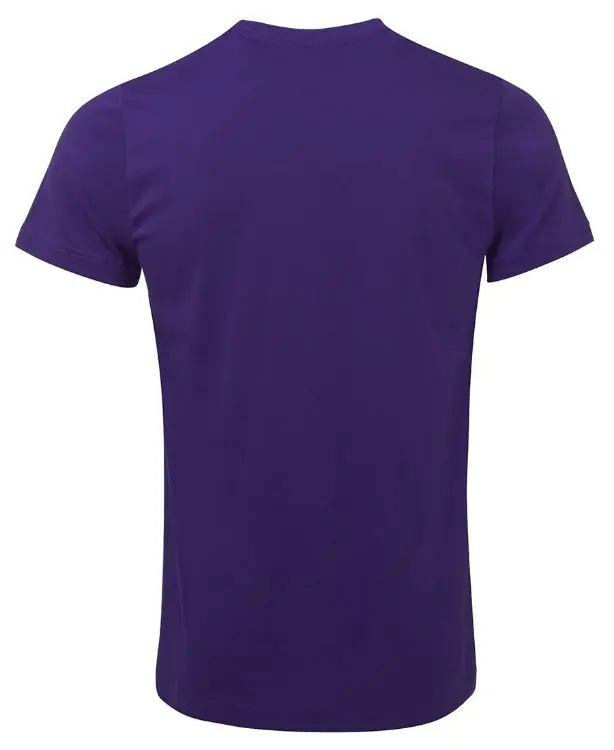 Picture of C of C Fitted Tee