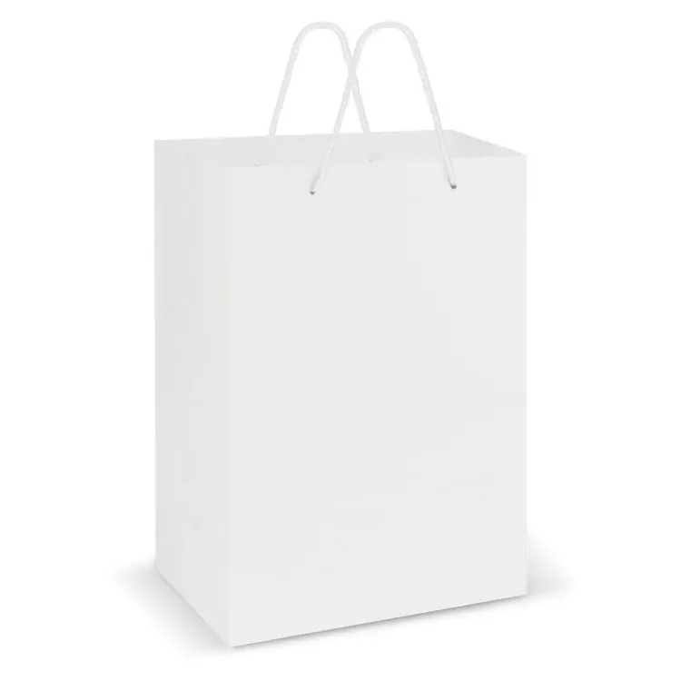 Picture of Laminated Carry Bag - Large
