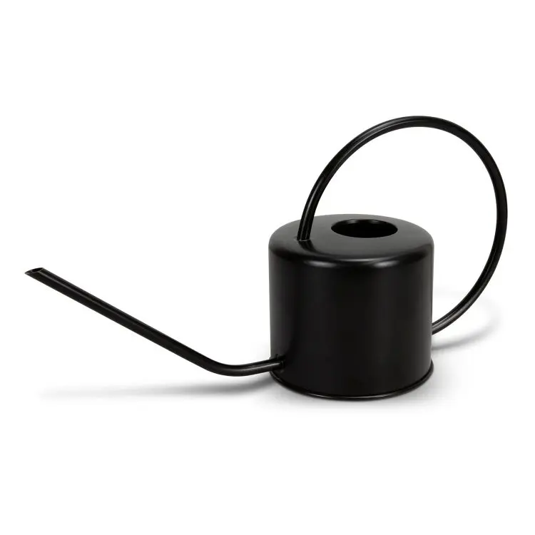 Picture of Keepsake Watering Can