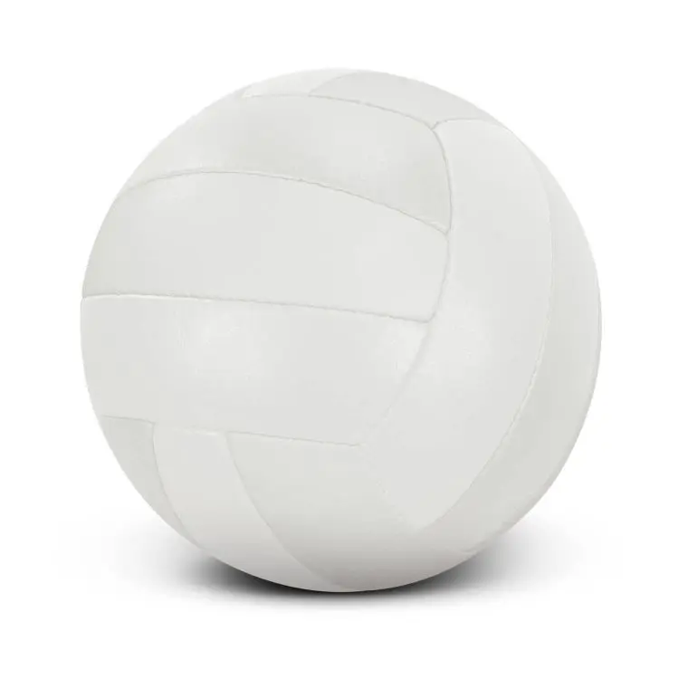 Picture of Volleyball Pro