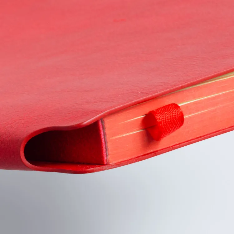 Picture of Demio Notebook - Medium